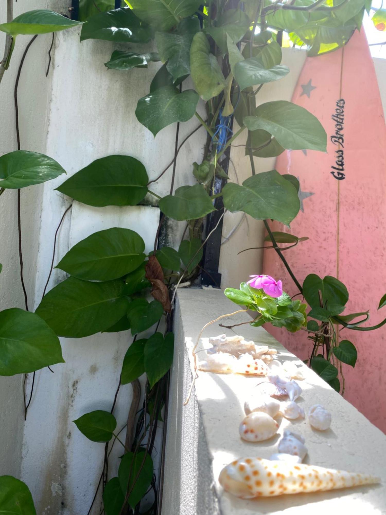 Maavaharu Guest House 心玛芙市 外观 照片