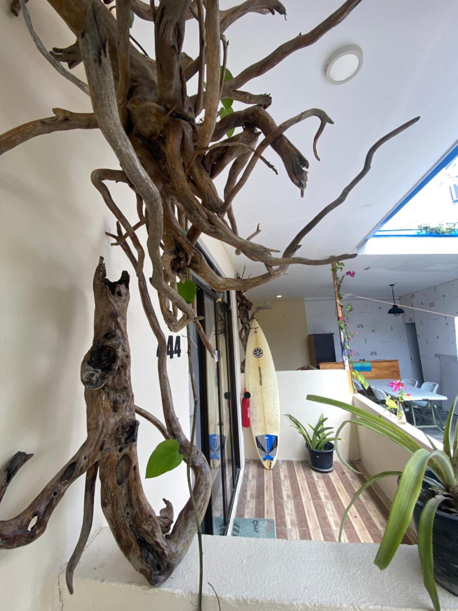 Maavaharu Guest House 心玛芙市 外观 照片