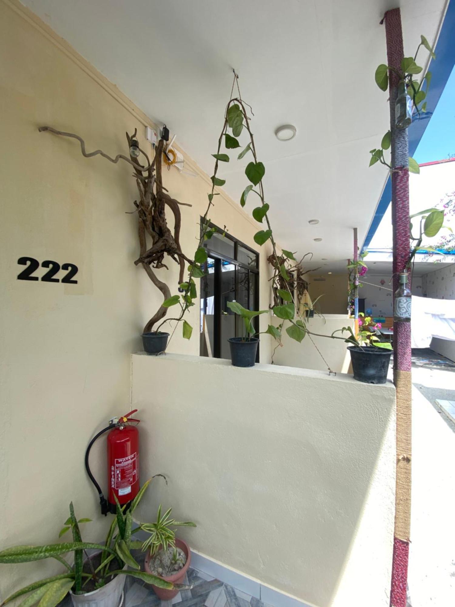 Maavaharu Guest House 心玛芙市 外观 照片