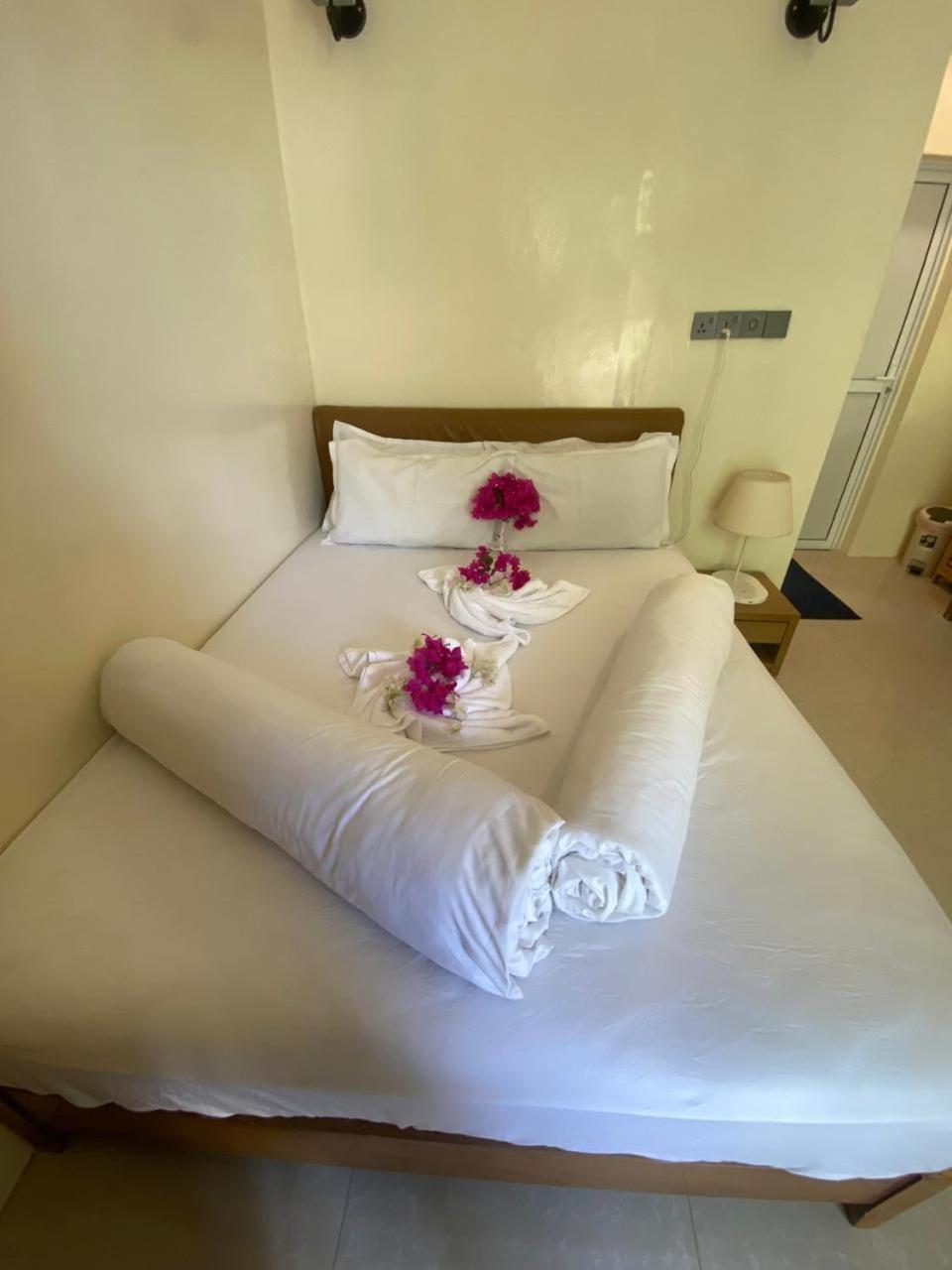 Maavaharu Guest House 心玛芙市 外观 照片
